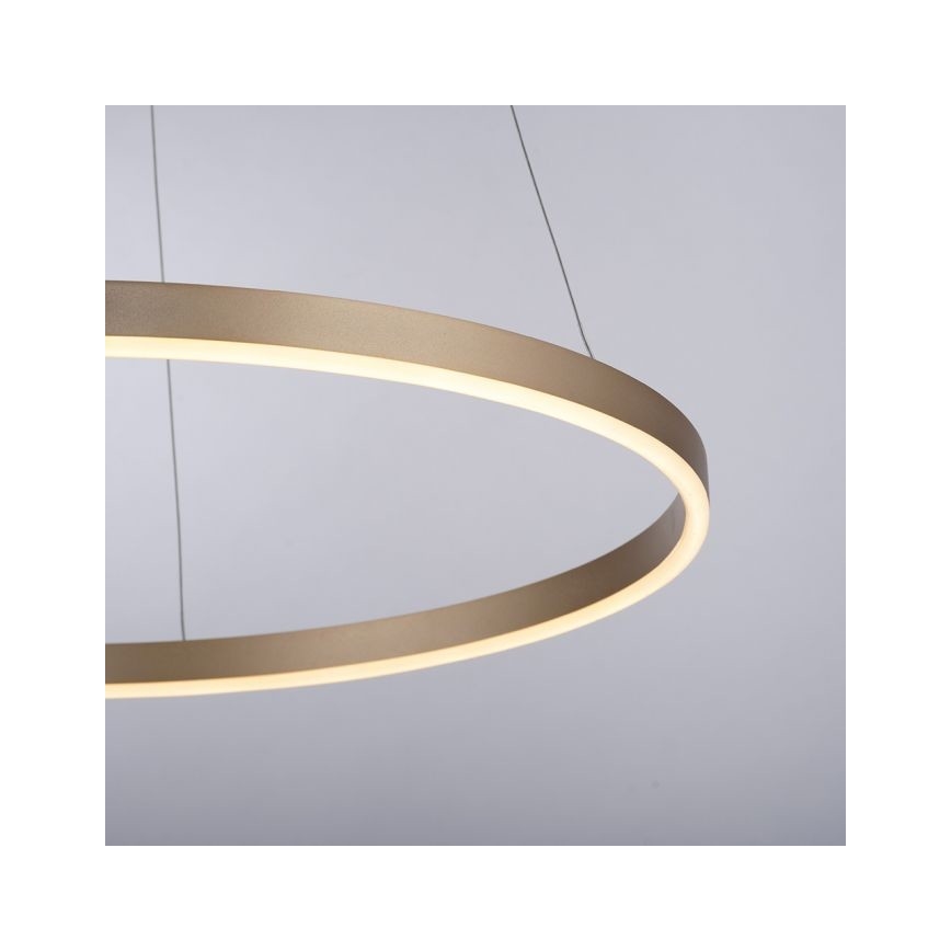 LLeuchten Direkt 15394-60 - LED-himmennettävä kattokruunu nauhalla RITUS LED/30W/230V messinki