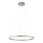 Leuchten Direkt 15394-95 - Himmennettävä LED-kattokruunu johdossa RITUS LED/30W/230V mattakromi