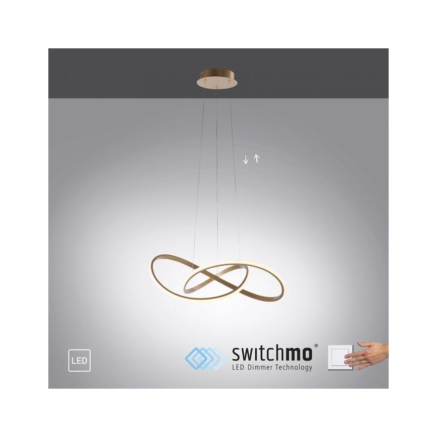 Leuchten Direkt 15402-60 - LED Himmennettävä kattokruunu johdossa MARIA LED/25W/230V