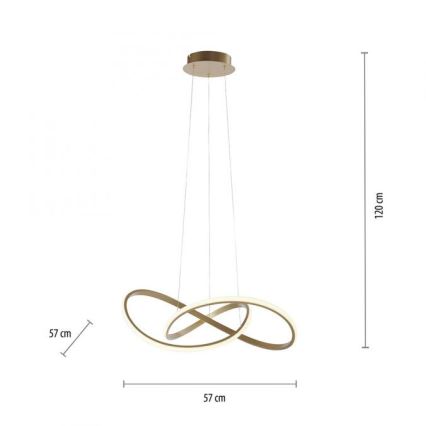 Leuchten Direkt 15402-60 - LED Himmennettävä kattokruunu johdossa MARIA LED/25W/230V