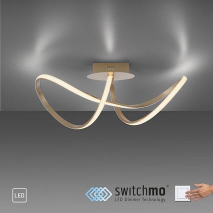 Leuchten Direkt 15403-60 - LED Himmennettävä pinta-asennettava kattokruunu MARIA LED/15,5W/230V