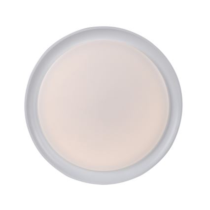 Leuchten Direkt 15544-16 - LED RGB Himmennettävä kattovalo RIBBON LED/15W/230V + kaukosäädin