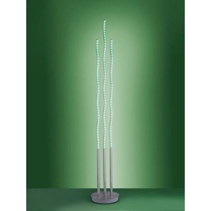 Leuchten Direkt 16268-55 - LED RGB himmennettävä lattialamppu WAVE LED/31W/230V + kauko-ohjaus