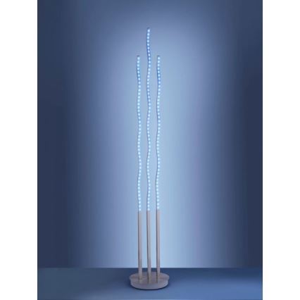 Leuchten Direkt 16268-55 - LED RGB himmennettävä lattialamppu WAVE LED/31W/230V + kauko-ohjaus