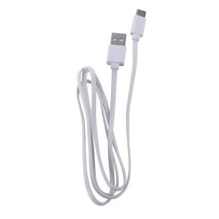 Leuchten Direkt 19250-16 - LED Ulkotila himmennettävä rechargeable pöytävalaisin EURIA LED/3W/5V IP54 valkoinen