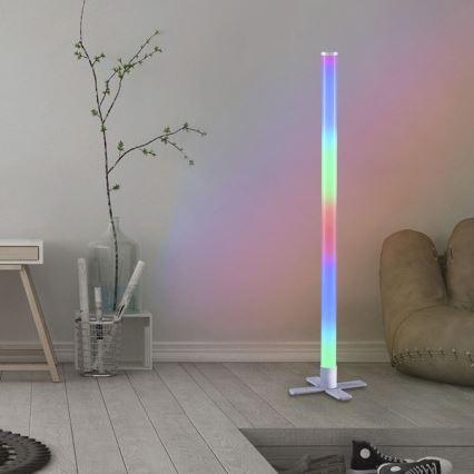Leuchten Direkt 19902-21 - LED RGB Himmennettävä lamppu RINGO LED/10W/230V+kaukosäädin