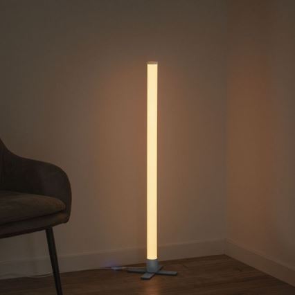 Leuchten Direkt 19902-21 - LED RGB Himmennettävä lamppu RINGO LED/10W/230V+kaukosäädin