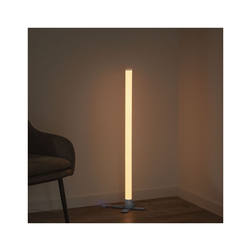 Leuchten Direkt 19902-21 - LED RGB Himmennettävä lamppu RINGO LED/10W/230V+kaukosäädin