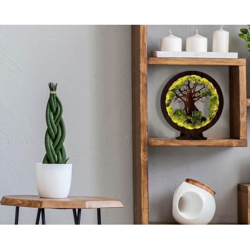 Li-Go 23604/DUB2 - LED himmennettävä pöytäkoriste LED/12W/230V 20x22 cm tammi/sammal ja puu