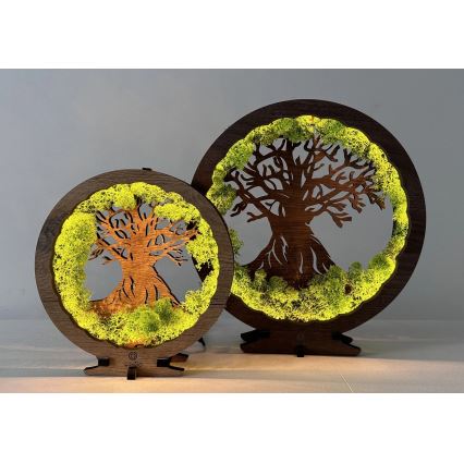 Li-Go 23604/DUB2 - LED himmennettävä pöytäkoriste LED/12W/230V 20x22 cm tammi/sammal ja puu