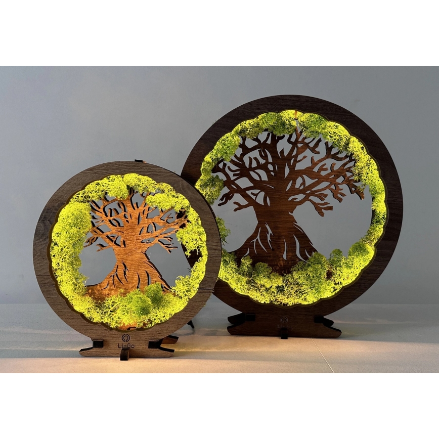 Li-Go 23604/DUB2 - LED himmennettävä pöytäkoriste LED/12W/230V 20x22 cm tammi/sammal ja puu