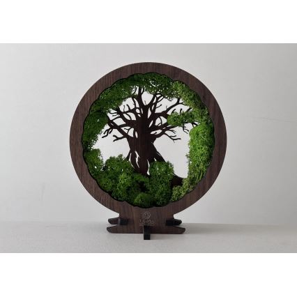 Li-Go 23604/DUB2 - LED himmennettävä pöytäkoriste LED/12W/230V 20x22 cm tammi/sammal ja puu