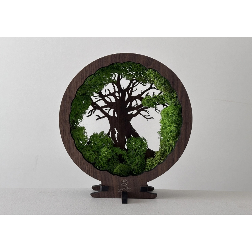 Li-Go 23604/DUB2 - LED himmennettävä pöytäkoriste LED/12W/230V 20x22 cm tammi/sammal ja puu