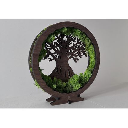 Li-Go 23604/DUB2 - LED himmennettävä pöytäkoriste LED/12W/230V 20x22 cm tammi/sammal ja puu