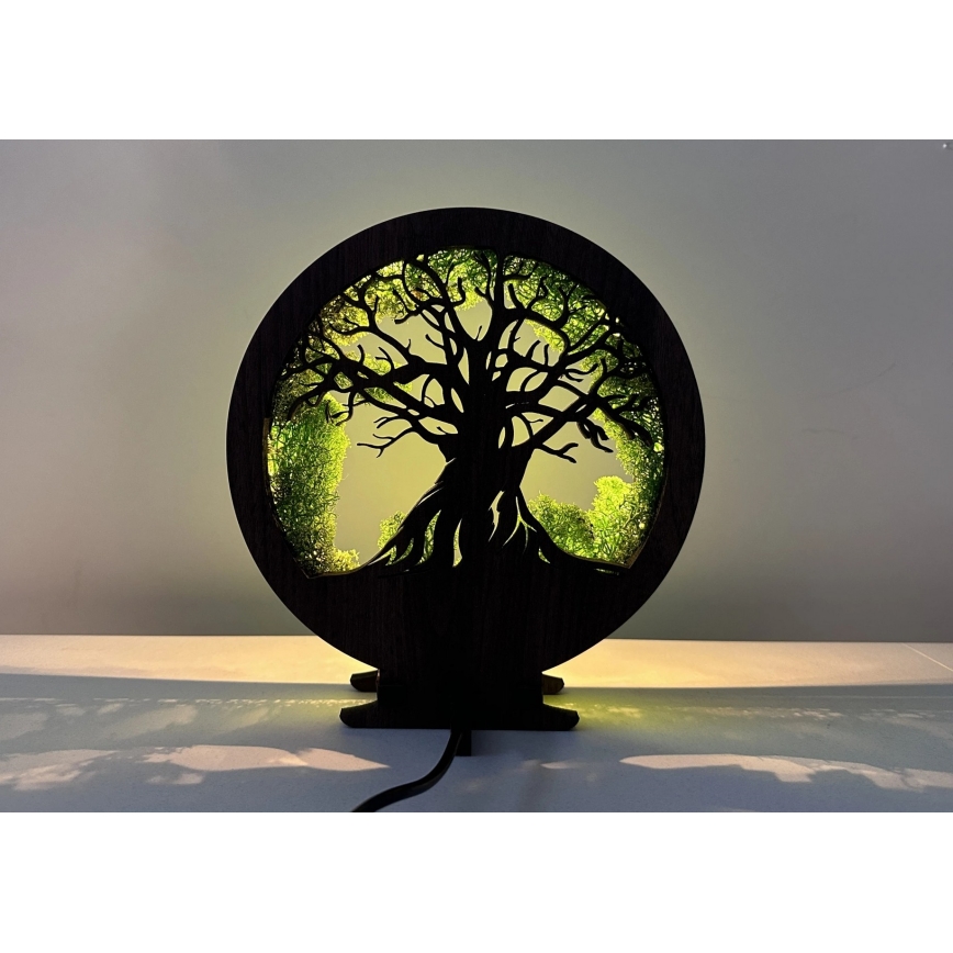 Li-Go 23604/DUB2 - LED himmennettävä pöytäkoriste LED/12W/230V 20x22 cm tammi/sammal ja puu