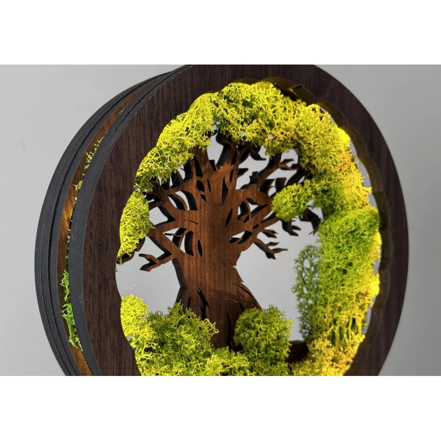 Li-Go 23604/DUB2 - LED himmennettävä pöytäkoriste LED/12W/230V 20x22 cm tammi/sammal ja puu