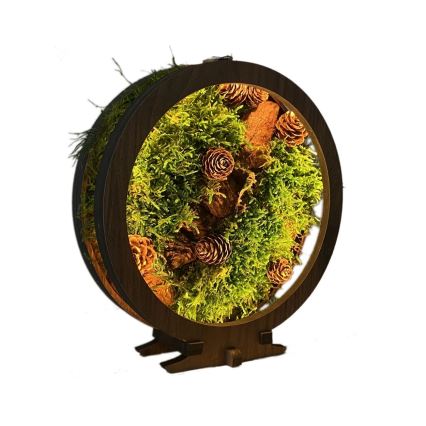 Li-Go 23654 - Himmennettävä LED-pöytävalaisin LED/12W/230V 20x22 cm pähkinä/Sammalinen asetelma