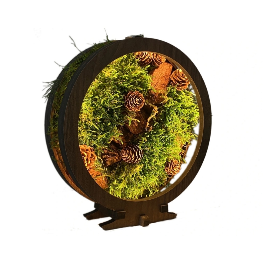 Li-Go 23654 - Himmennettävä LED-pöytävalaisin LED/12W/230V 20x22 cm pähkinä/Sammalinen asetelma