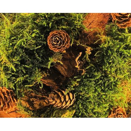 Li-Go 23654 - Himmennettävä LED-pöytävalaisin LED/12W/230V 20x22 cm pähkinä/Sammalinen asetelma