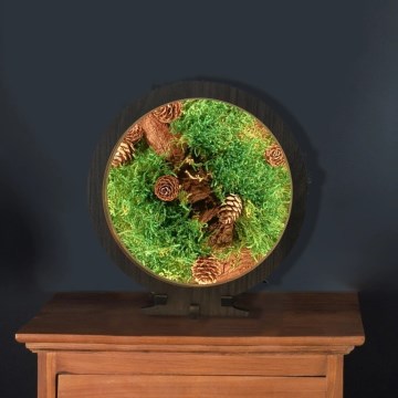 Li-Go 23654 - Himmennettävä LED-pöytävalaisin LED/12W/230V 20x22 cm pähkinä/Sammalinen asetelma