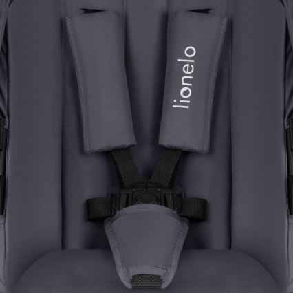 Lionelo - 3-in-1 yhdistelmävaunut AMBER PLUS, grafiitinharmaa