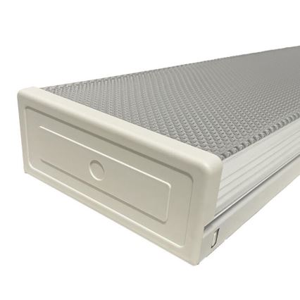 Loisteputki T8 2xG13/18W/230V 124 cm