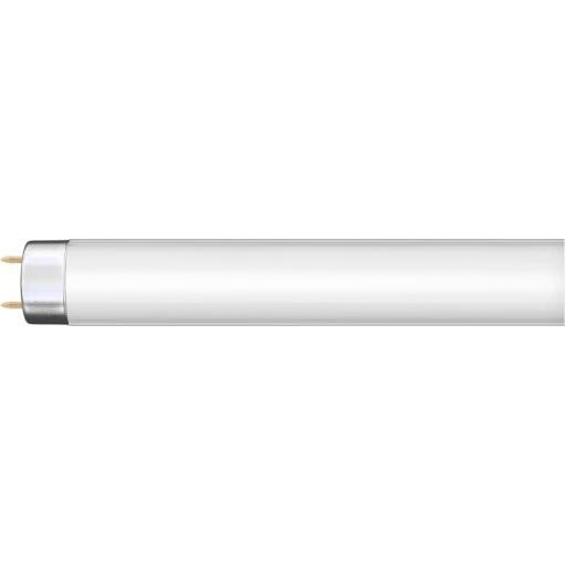 Loisteputki G13/36W/230V 120 cm - Narva 108132000