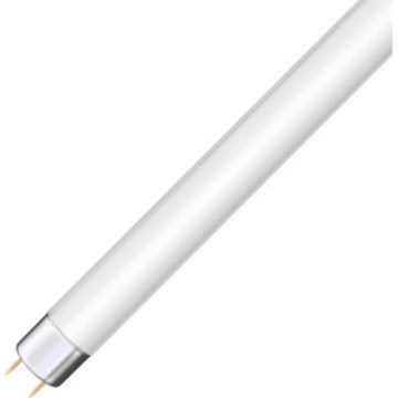 Loisteputki T8 G13/36W/103V 4000K 120 cm
