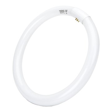 Loisteputki T9 G10q/32W/230V 6500K - Aigostar