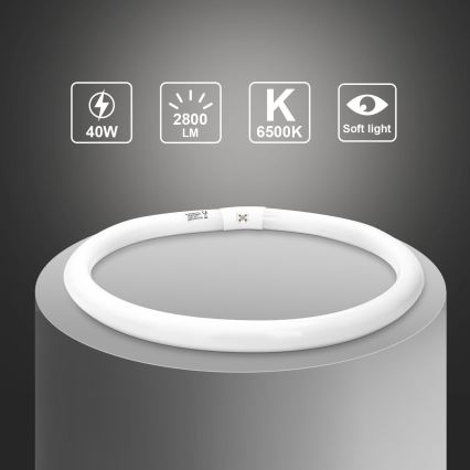 Loisteputki T9 G10q/40W/230V 6500K - Aigostar