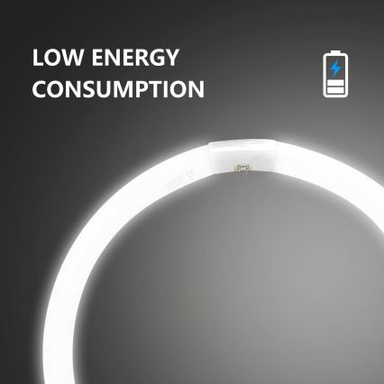 Loisteputki T9 G10q/40W/230V 6500K - Aigostar