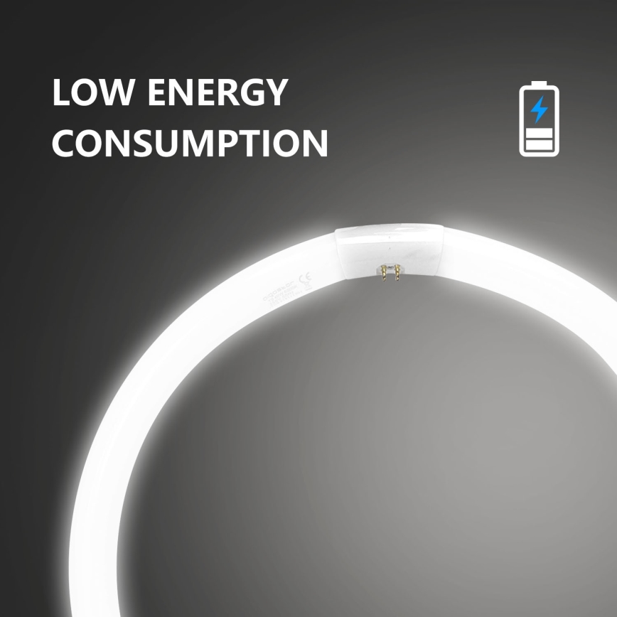 Loisteputki T9 G10q/40W/230V 6500K - Aigostar