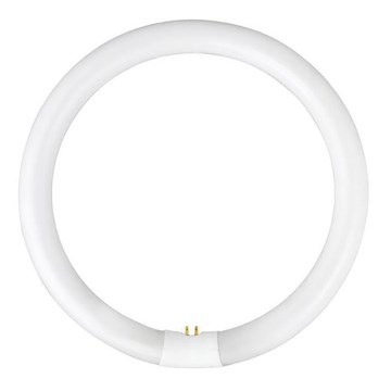 Loisteputki YH G10q/28W/230V 6500K - Fulgur 03045 halk. 23 cm