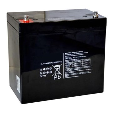 Lyijyakku VRLA AGM 12V/55Ah