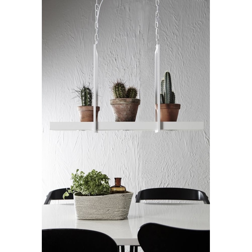 Markslöjd 106124 - Himmennettävä LED-kattokruunu ketjussa TRAY 3xLED/3W/230V valkoinen