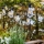 Markslöjd 107293 - LED koristeketju ulkokäyttöön SEPPELE GARDEN 10xLED 5,5m IP44