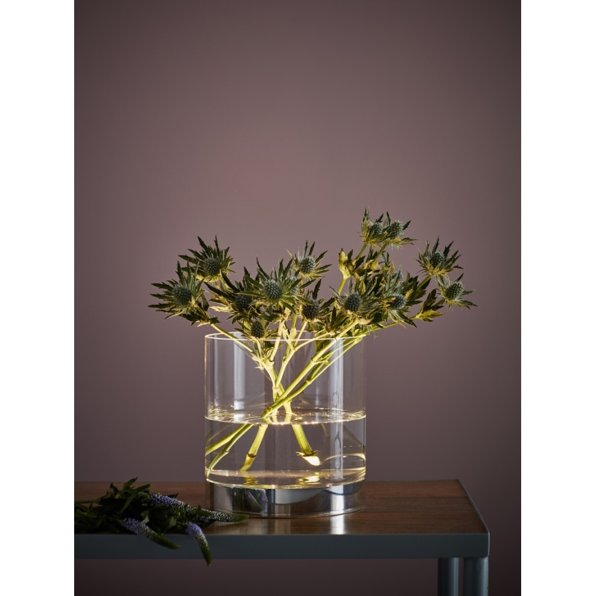Markslöjd 107326 - LED Pöytävalaisin BOUQUET LED/3W/230V