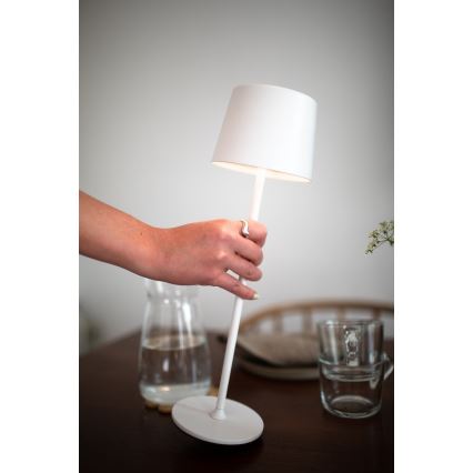 Markslöjd 108654 - LED Himmennettävä ladattava lamppu FIORE LED/2W/5V IP44 38 cm valkoinen