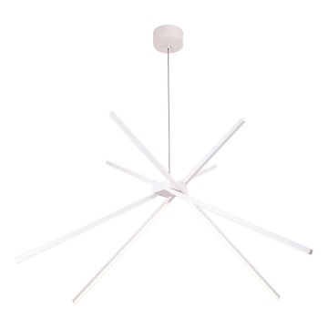 MAXLIGHT P0270 - LED-kattokruunu johdossa HÄMÄHÄKKI LED/33W/230V valkoinen