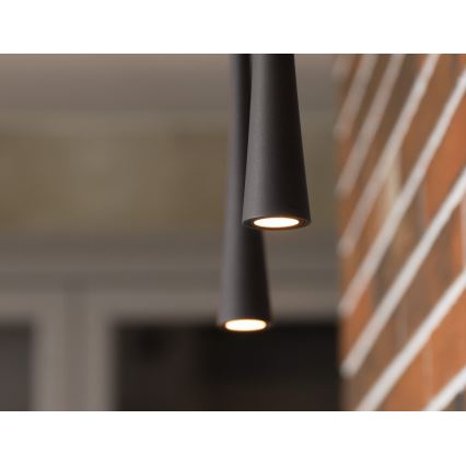 MAXLIGHT P0373 - LED-kattokruunu johdossa KAHVI LED/7W/230V halkaisija 3 cm musta