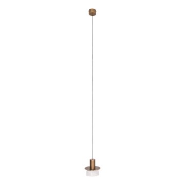 MAXLIGHT P0530 - LED-kattokruunu johdossa SIGNATURE LED/8W/230V halkaisija 15 cm messinki/läpinäkyvä