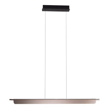 MAXLIGHT P0597 - Himmennettävä LED-kattokruunu johdossa JO-JO LED/40W/230V 2700/4500/5500K antrasiitti