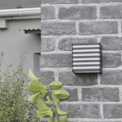 LED Ulkoseinävalaisin MAXWELL LED/10W/230V IP54 antrasiitti