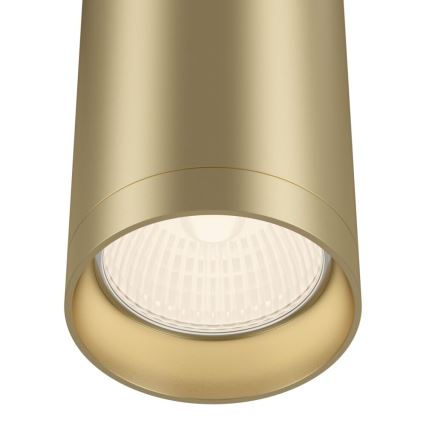 Maytoni C010CL-01MG - Kohdevalo FOCUS 1xGU10/50W/230V kulta