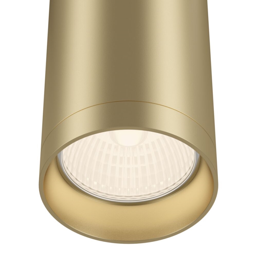 Maytoni C010CL-01MG - Kohdevalo FOCUS 1xGU10/50W/230V kulta