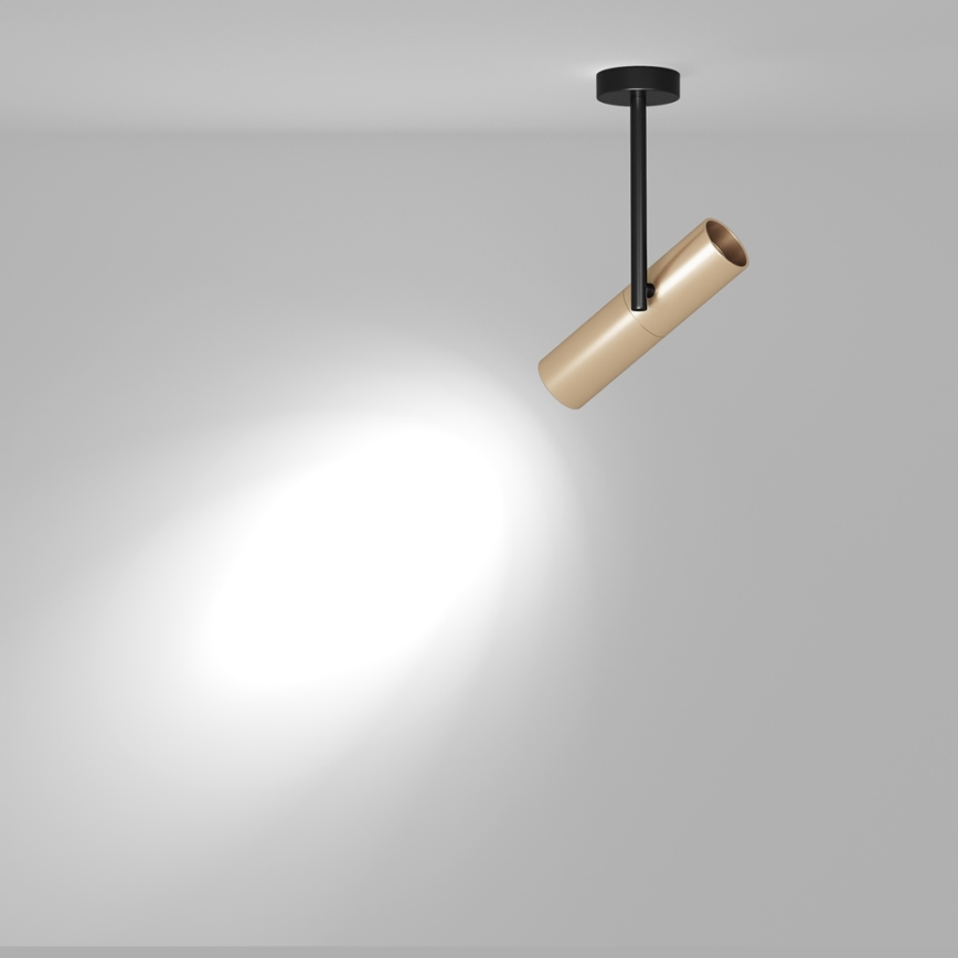 Maytoni C020CL-01GB - Kohdevalo ELTI 1xGU10/50W/230V kulta