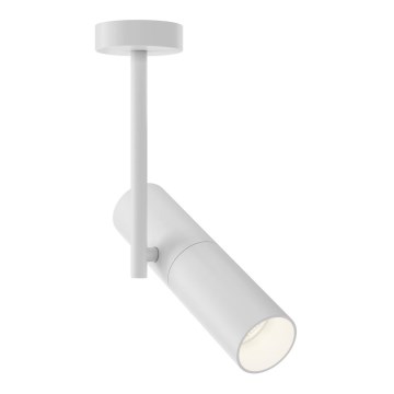 Maytoni C020CL-01W - Kohdevalo ELTI 1xGU10/50W/230V valkoinen