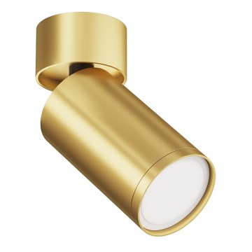 Maytoni C050CL-U-1MG - Kohdevalo FOCUS 1xGU10/10W/230V kulta