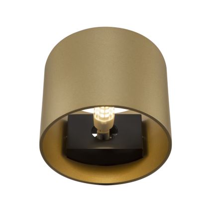 Maytoni C066WL-01MG - Seinävalaisin ROND 1xG9/50W/230V kulta