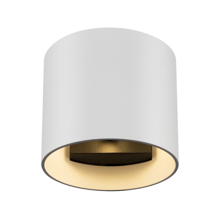 Maytoni C066WL-01W - Seinävalaisin ROND 1xG9/50W/230V valkoinen